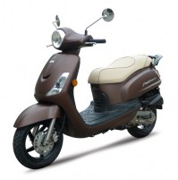 FIDDLE II 50